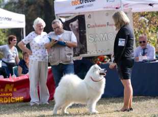 2021 Euroshow Eleanor